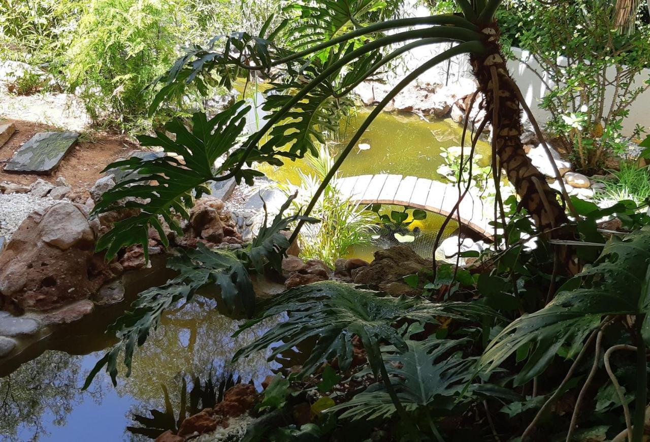 Villa Tortuga Marbella Luaran gambar