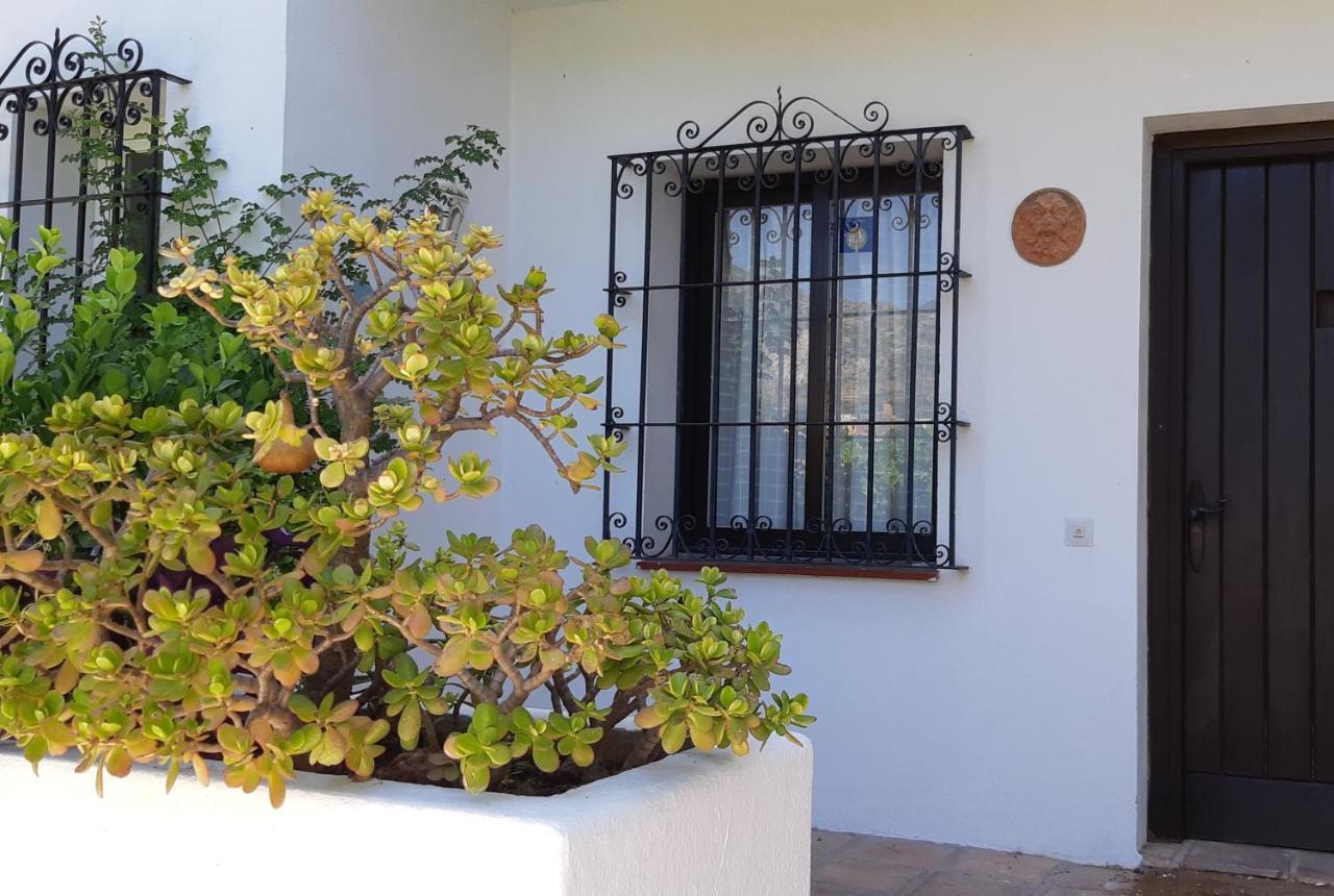 Villa Tortuga Marbella Luaran gambar