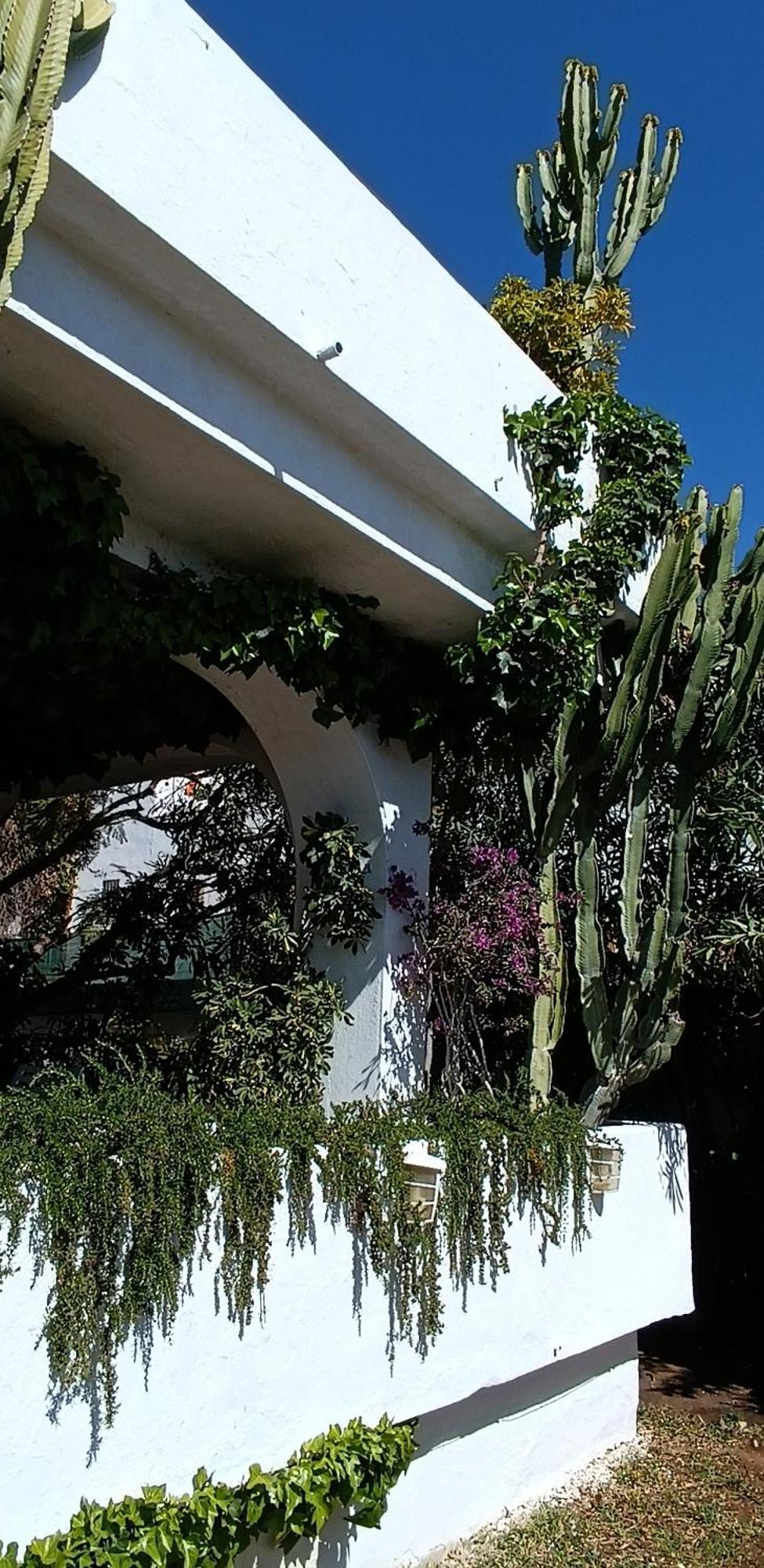Villa Tortuga Marbella Luaran gambar